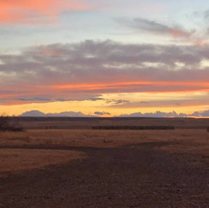 Meet your Posher, Roberta